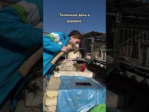 А вы при делах? ?