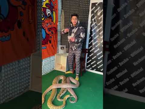 غرفتي مليئه بالثعابين والعقارب 😱💔😂🐍🦂