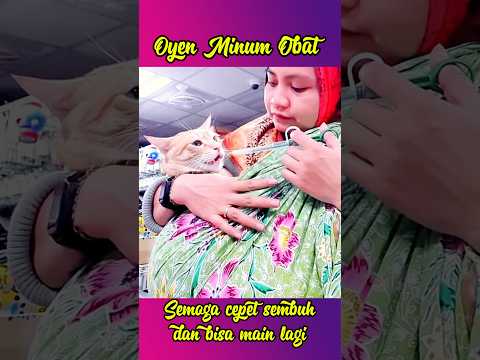 Semoga cepet sembuh ya #shorts #kucing #oyen