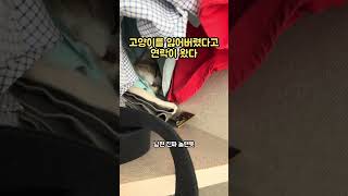 고양이를 잃어버렸다고 연락이 왔다