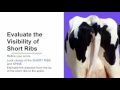 Body Condition Scoring in Cows