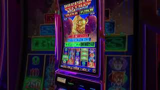 BUFFALO!!!!  #slot #slotscasinogames #casino #slotmachine #jackpot #gambling #bonus #win #buffalo