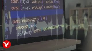 Afghan women turn to secret online coding courses as the Taliban bans education