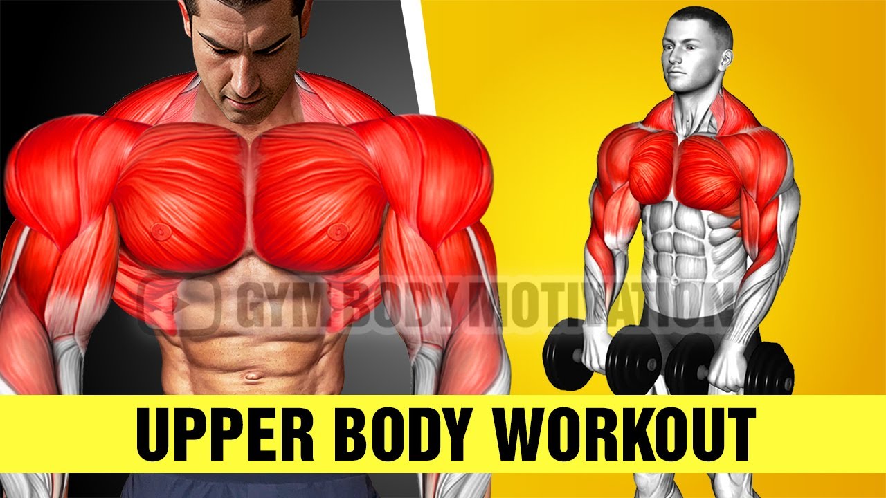 The Perfect Upper Body Workout for Mass