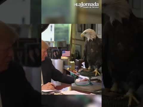 Putin& Trump bersama burung ๐ฆ #putin #trump #birds #america #russia