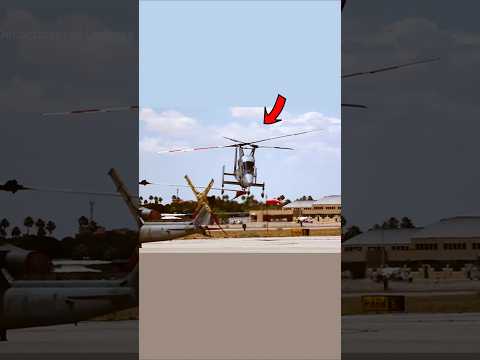 mutta 🥚helicopter 🚁 😱😱