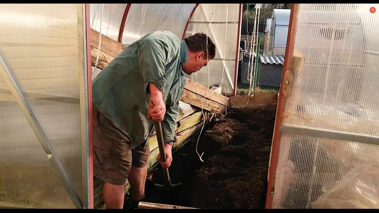 Ленинградская область. Что сажаем, как рассада?