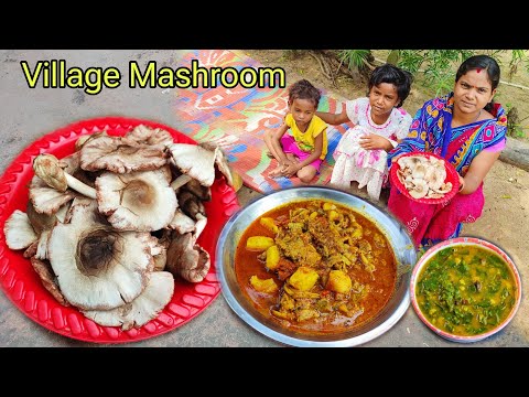 Village Mashroom Cooking and Eating |Desi chati Recipe with Daal Moringa