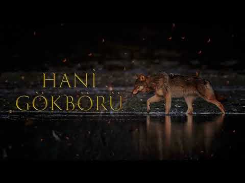 Mt & @HanedanDogan - Hani Gökbörü