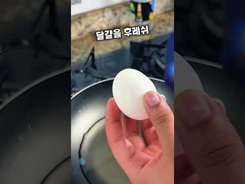 계란후라이 이렇게 드세요!!!