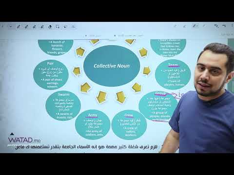 الحصة الرابعة من التأسيس - مادة اللغة الانجليزية ( جيل 2009 ) Collecetive Noun - الأستاذ عمر المحتسب