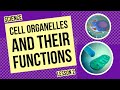 Cell Organelles and Their Functions