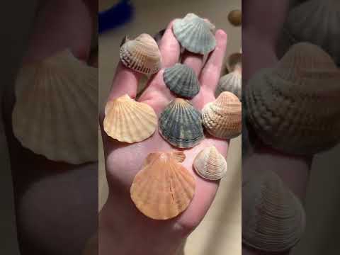 Творим из хлама #2✂️ А на канале больше вдохновляющих длинных видео💌 #хобби #творчество