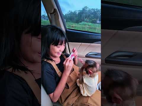 Permen kesukaan Chya 🤗 #shortvideo #short #monkey #monyet #animals