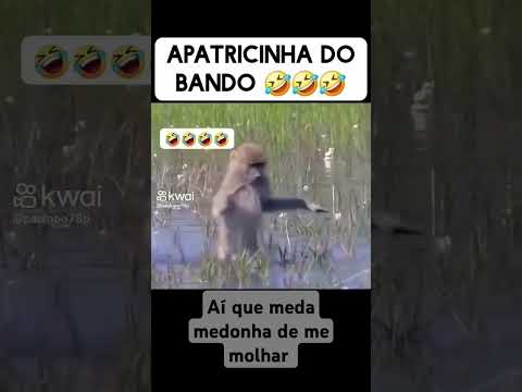 Não é medo é meda 😁😁😁