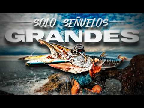 De este TAMAÑO SÍ - SOLO Señuelos GRANDES | Lured Vlog 349