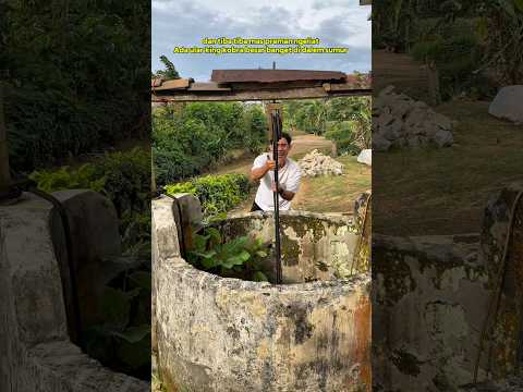 Ada ular king kobra di rumah baru mas preman #shorts #minivlog #comedy #bocilwargads #maspreman