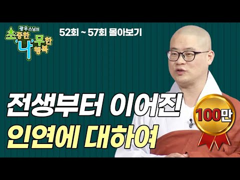 전생부터 이어진 인연에 대하여  [광우스님 소나무 4편 몰아보기]