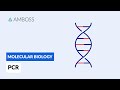 PCR Concepts and Applications