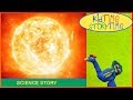 Photosynthesis and Energy Sources