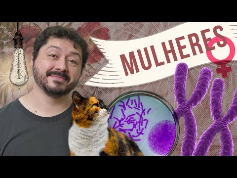 Por que as mulheres são especiais como os gatos