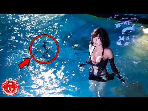 50 INCREIBLES MOMENTOS CAPTADOS POR LAS CAMARAS