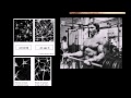 Understanding the Human Brain
