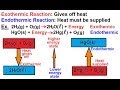 Endothermic and Exothermic Reactions