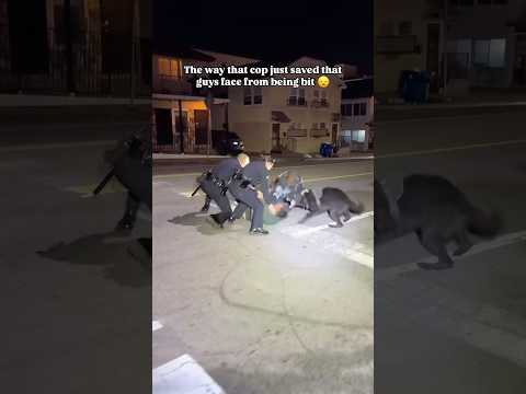 Almost mauled in the face 😮‍💨 #dog #dogtrainer #policedog #police #policek9
