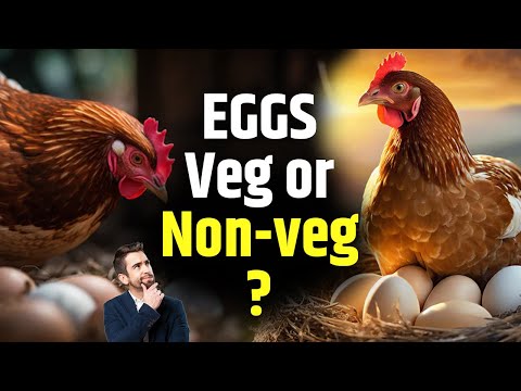 Are eggs considered vegetarian or non-vegetarian? | H.G Dr. Vrindavan Chandra Das