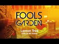 Understanding the Lemon Tree Song