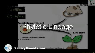Phyletic Lineage