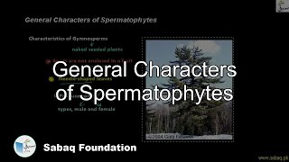 General Characters of Spermatophytes