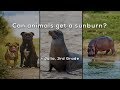 Understanding Sunburns in Humans and Animals