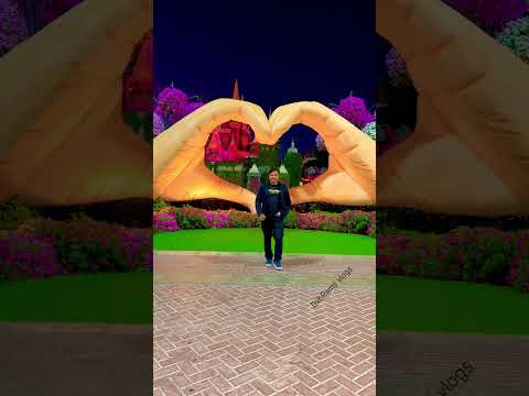 Beautiful Natural flowers 💐 Miracle Garden Dubai 🫶 #travel #beautiful #miraclegarden #dubaigarden