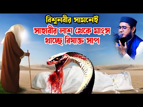 বিশ্বনবীর সামনেই সাহাবীর কাফনে সাপের আক্রমন shahidur rahman mahmudabadi new waz 2024 মাহমুদাবাদী