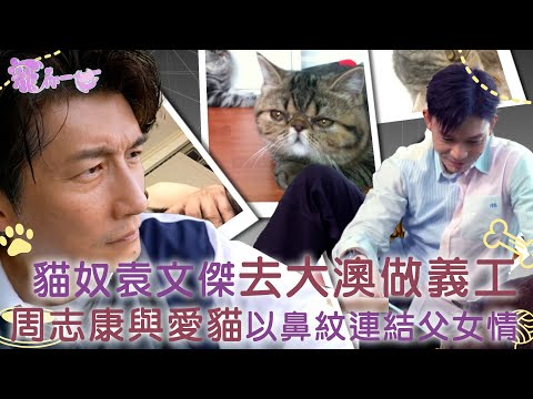 寵你一世｜貓奴袁文傑去大澳做義工 周志康與愛貓以鼻紋連結父女情｜戴祖儀 陳懿德 袁文傑 周志康｜寵物 流浪貓狗 寵物保險