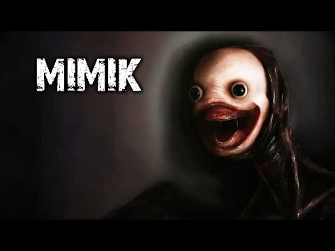 MIMIK
