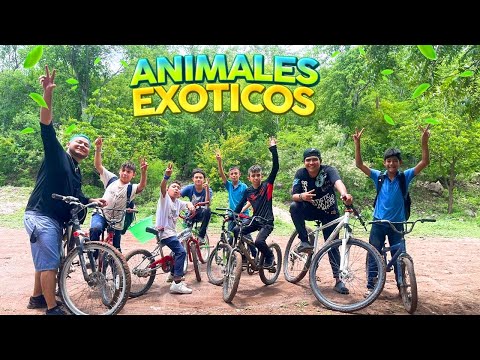 RUTA EXTREMA EN BICICLETAS 2.0 CON SOÑADORES 🚴‍♀️😂 Animales raros y palomitas de maíz 🌽🍿 Grillo