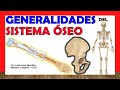 Understanding the Skeletal System