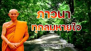ภาวนาได้ทุกลมหายใจ หลวงพ่อพุธ ฐานิโย