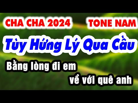 Karaoke NGẪU HỨNG LÝ QUA CẦU Tone Nam Cha Cha Cha Nhảy KLA 2024 | Karaoke Organ 9669