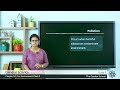 Air Pollution Effects and Causes