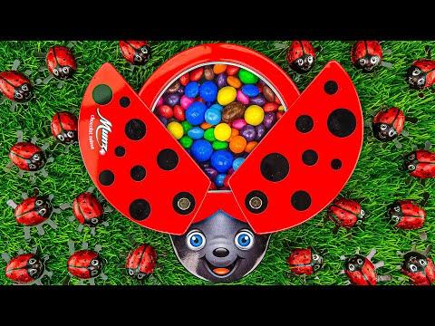 Most Satisfying Video | Fruit Skittles & Glossy M&M's in LadyBug Full of Tasty Candy ASMR #500