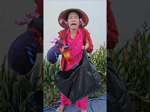 Câu chuyện cảm động
