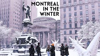 Surviving Winter in Montreal