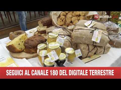 Festival etoiles de Mougins