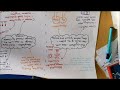 Climate Change Mitigation and Adaptation Strategies