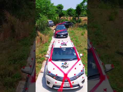 Groom Car//beautiful car Decoration//barat//best wedding #bollywood #hindisong #song #love #vlogs