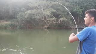 ÀS MELHORES DICAS DE PESCARIAS ESTÁ AQUI!#pescaria